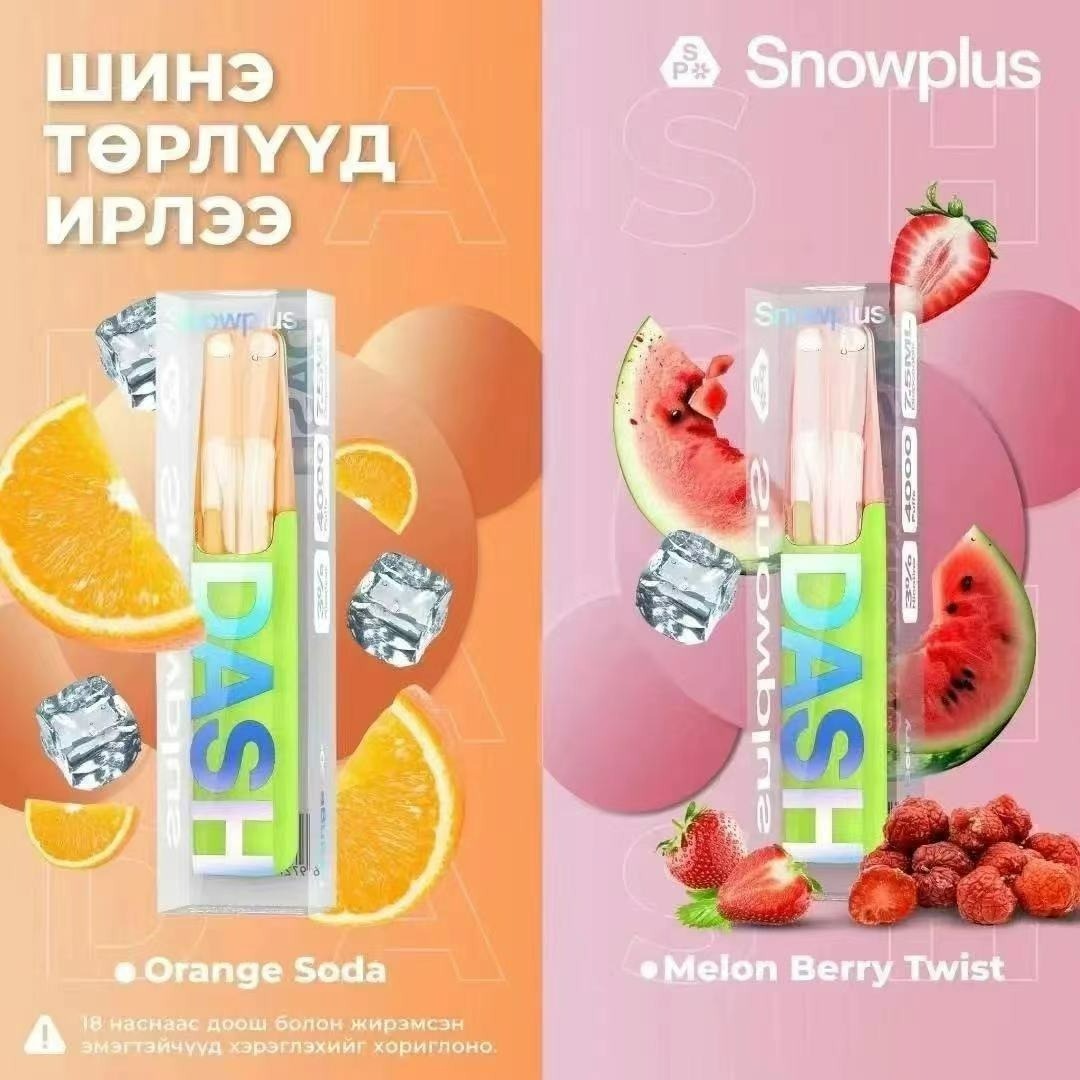 Snowplus Dash雪加鸭嘴兽4000口一次性小煙